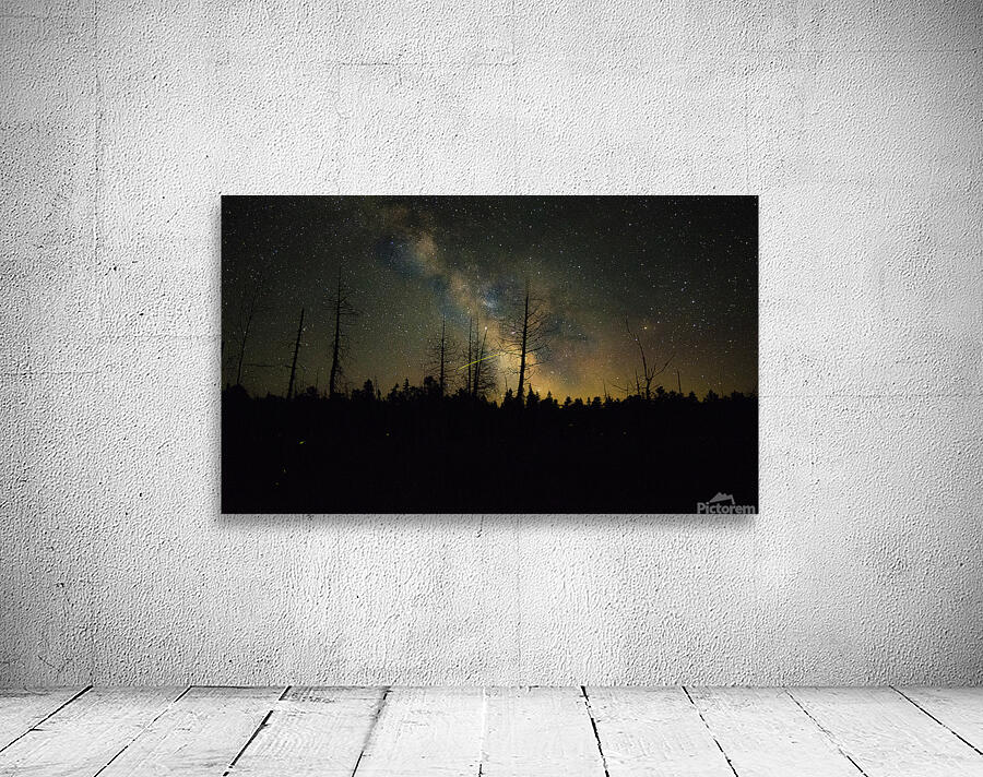 JBS 1459 Wall Preview