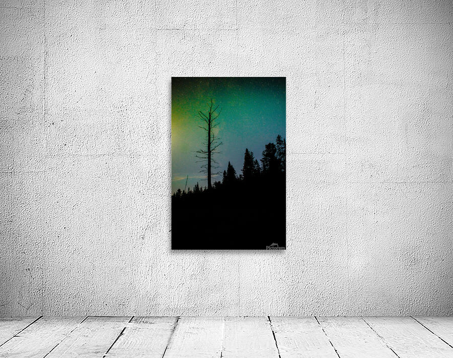 JBS 3718 Wall Preview