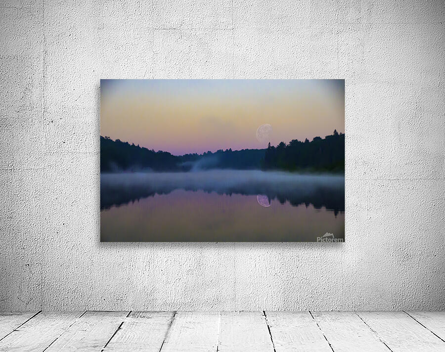 JBS 1909  Wall Preview