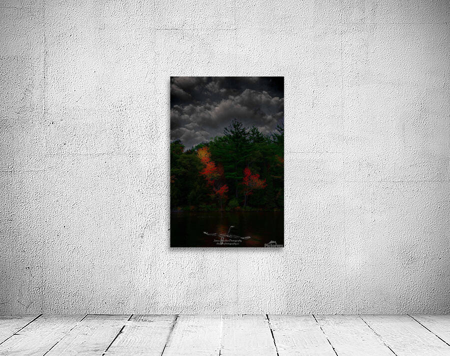 JBS 4749  Wall Preview