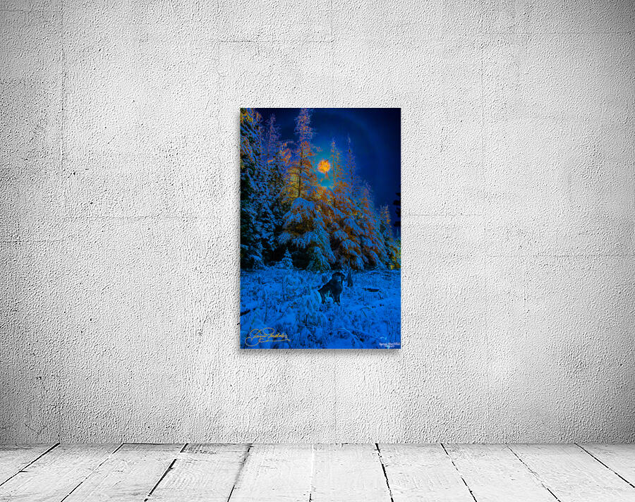 JBS 4968  Wall Preview