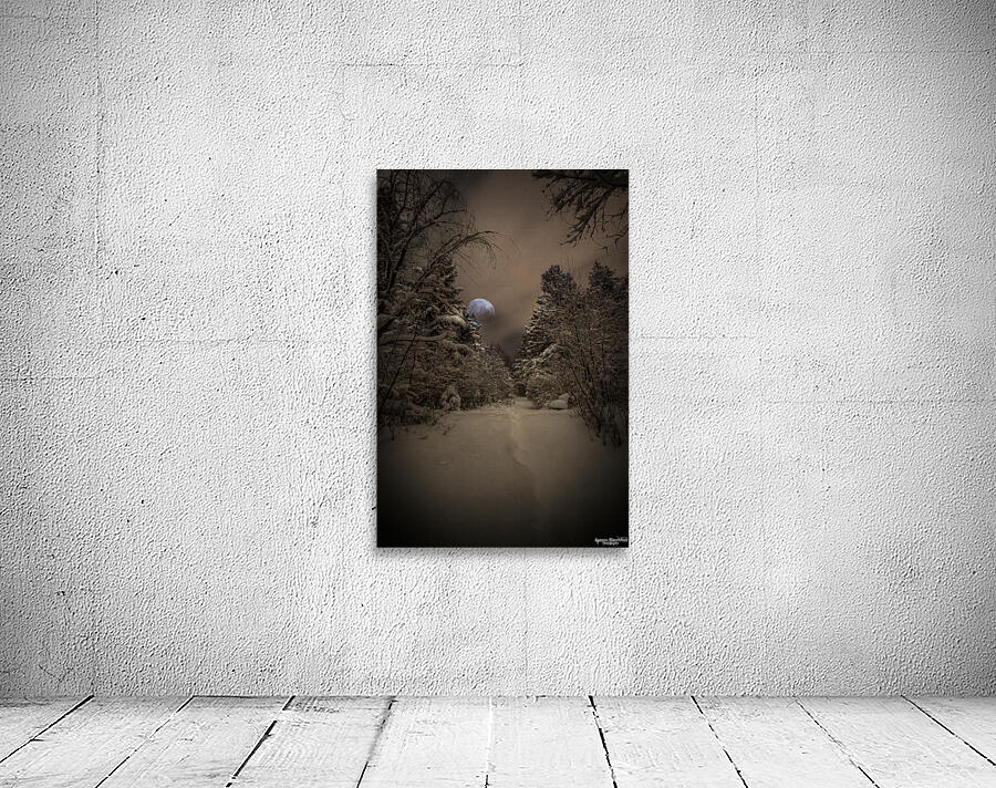 Z62 0235 Wall Preview