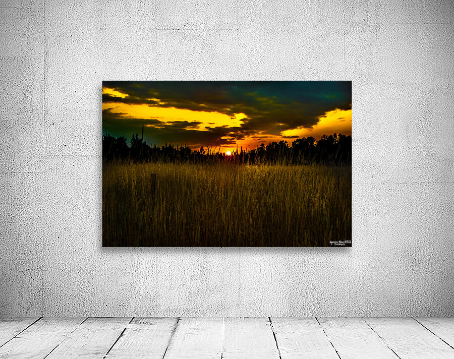 JBS 5786 Wall Preview