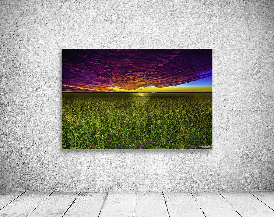 JBS 3554 Wall Preview