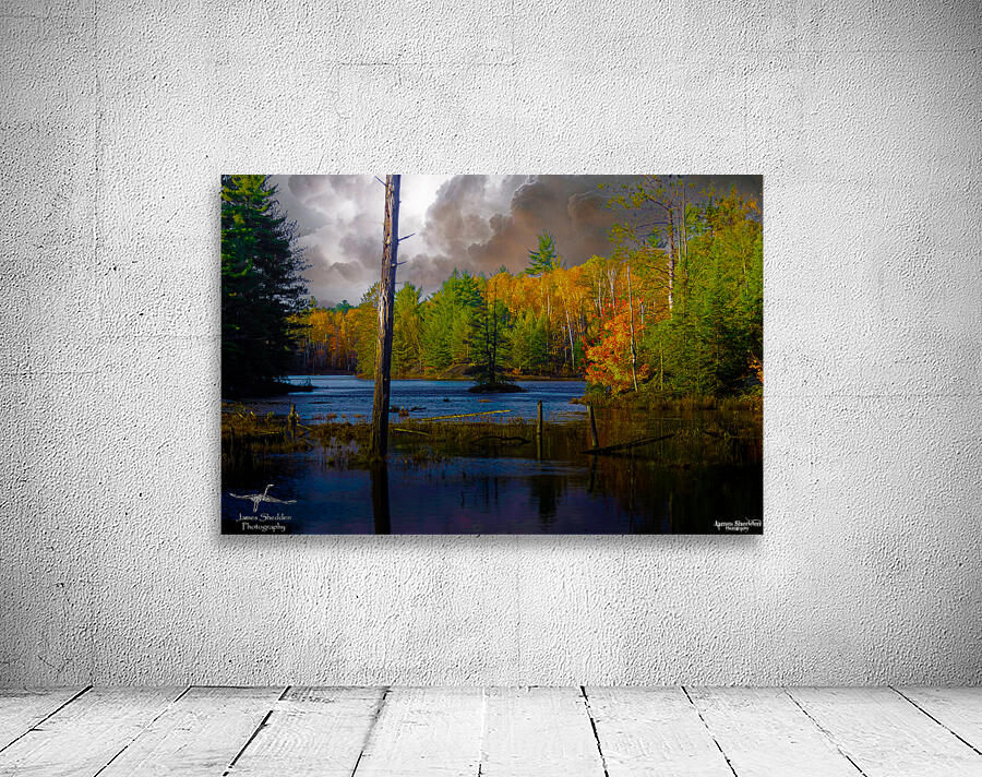  JBS4221 Wall Preview