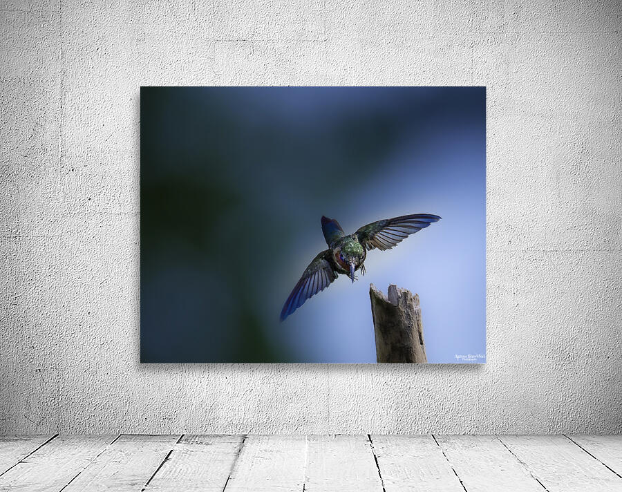 JBS 2832 Wall Preview