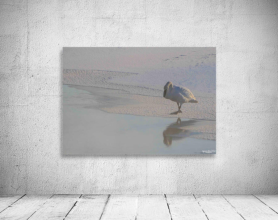 DSC 5823 Wall Preview