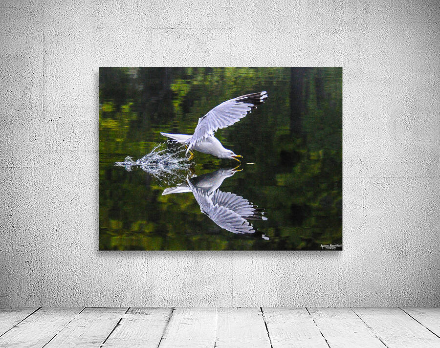  1seagull Wall Preview