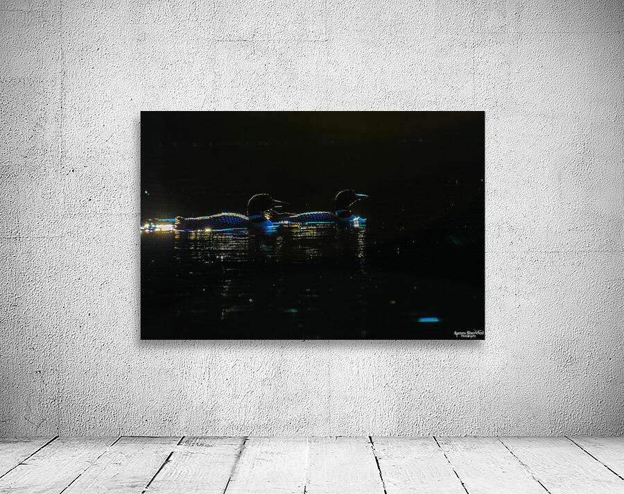 JBS 3176 Wall Preview