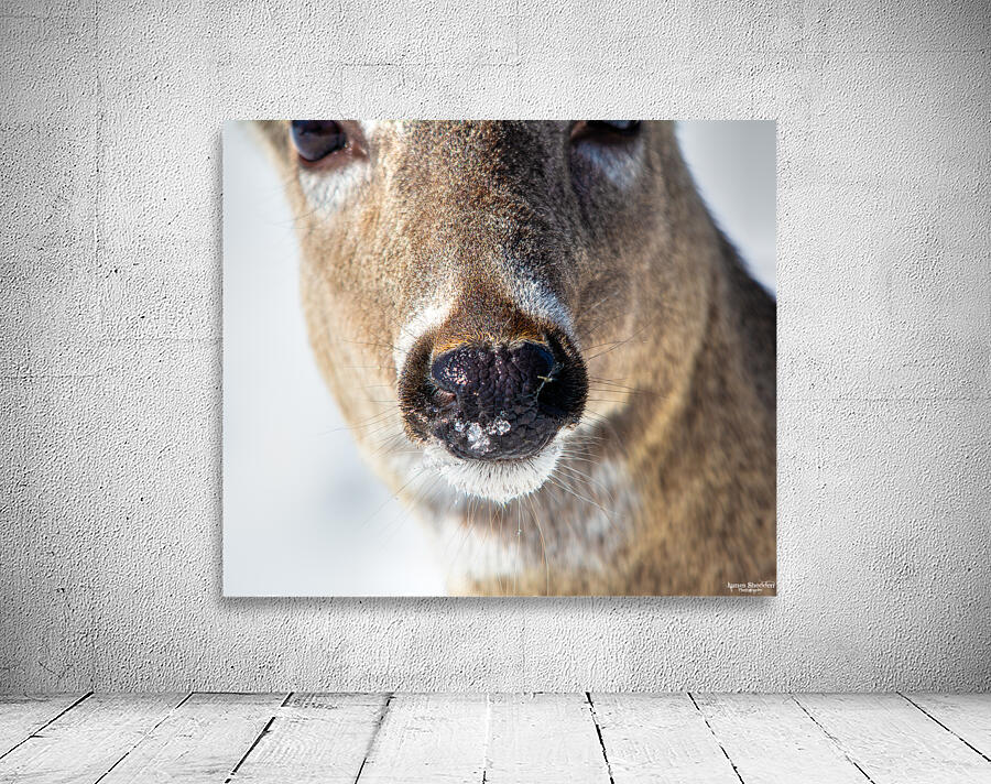 JBS 0540 Wall Preview