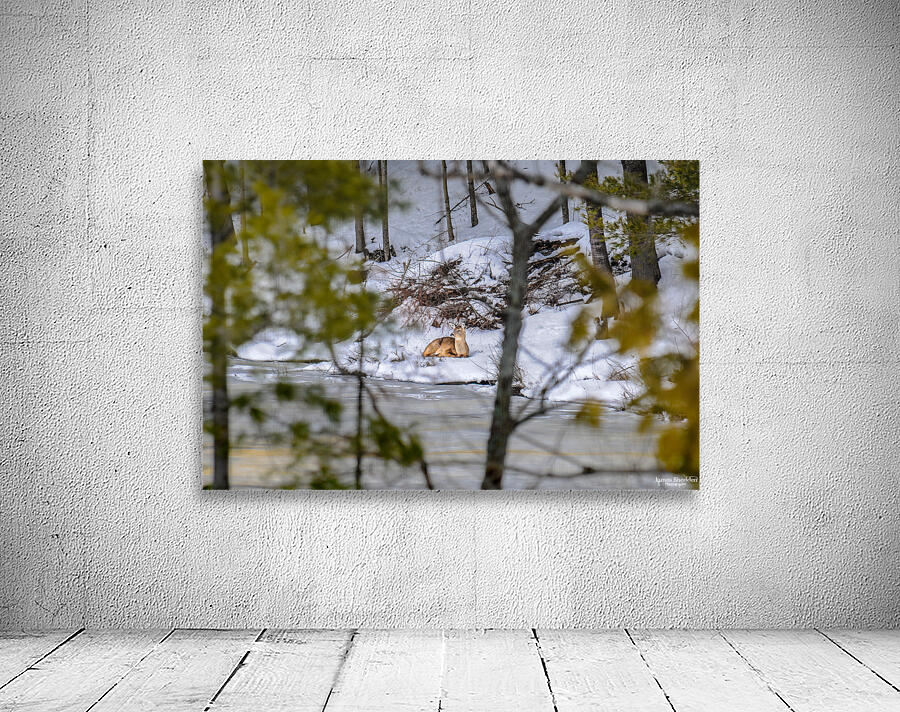  JBS5840 1 Wall Preview