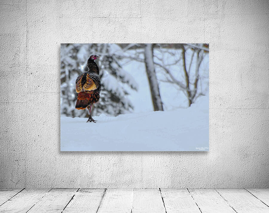 DSC 5553 Wall Preview