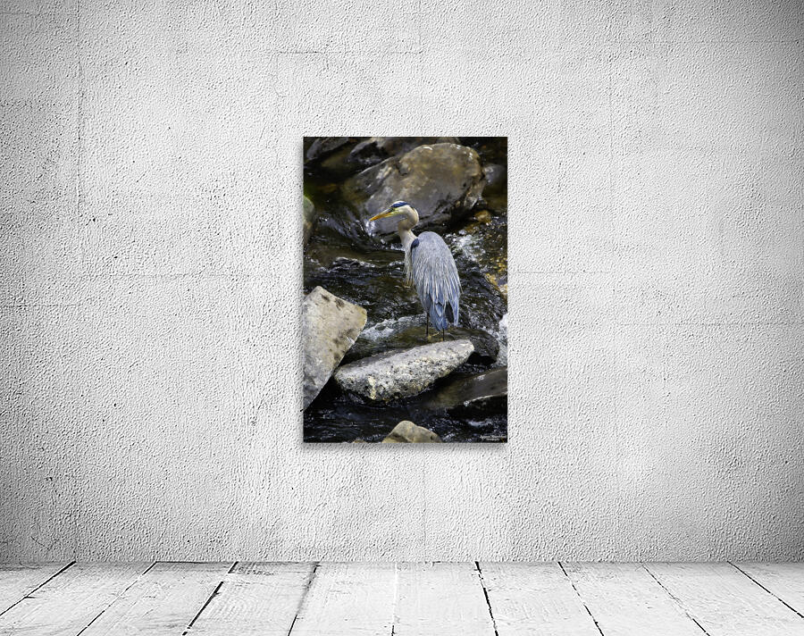 JBS 1574 Wall Preview