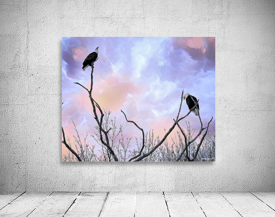 DSC 0357 Wall Preview