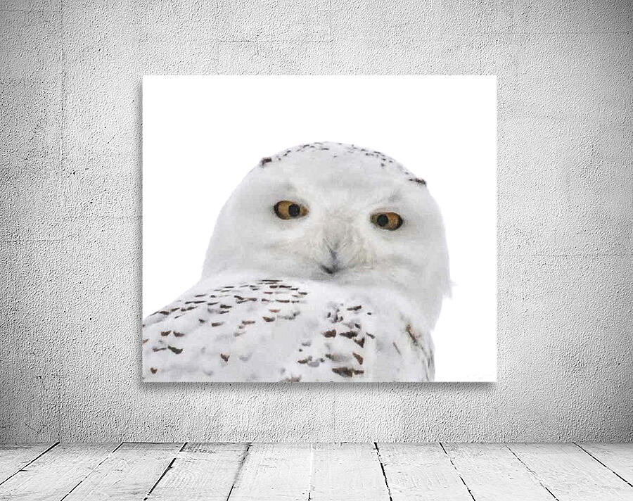 DSC 1876 2 Wall Preview