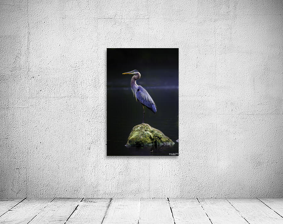 JBS 1706 2 Wall Preview