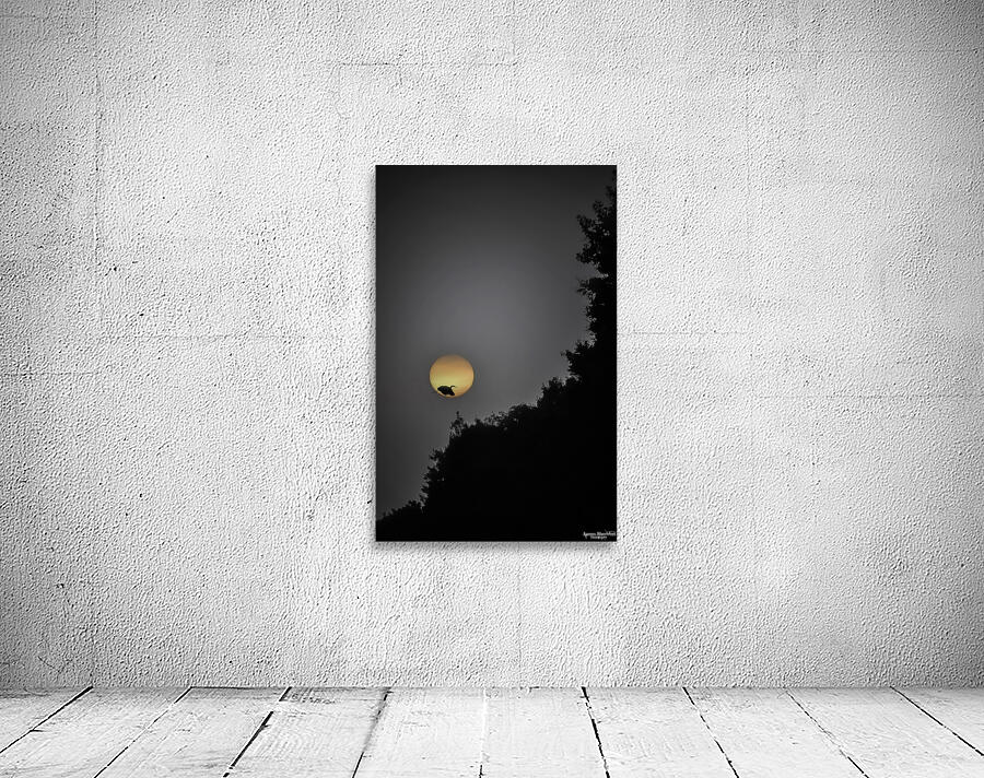 HERON SUNRISE Wall Preview