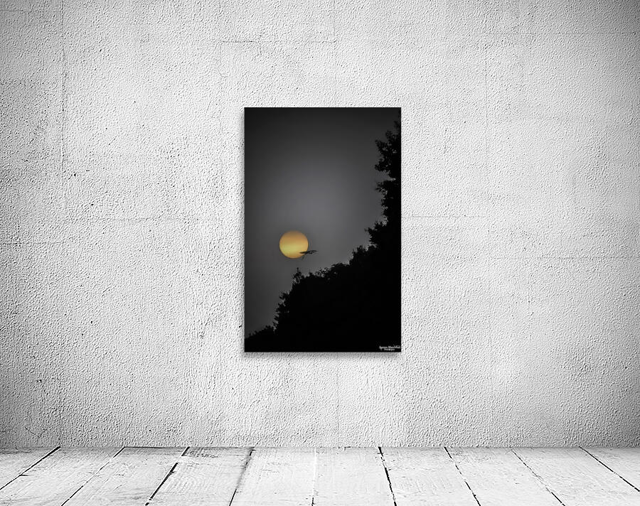 HERON SUNRISE2 Wall Preview