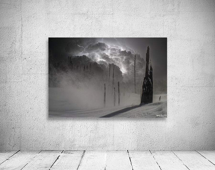 01300036  Wall Preview