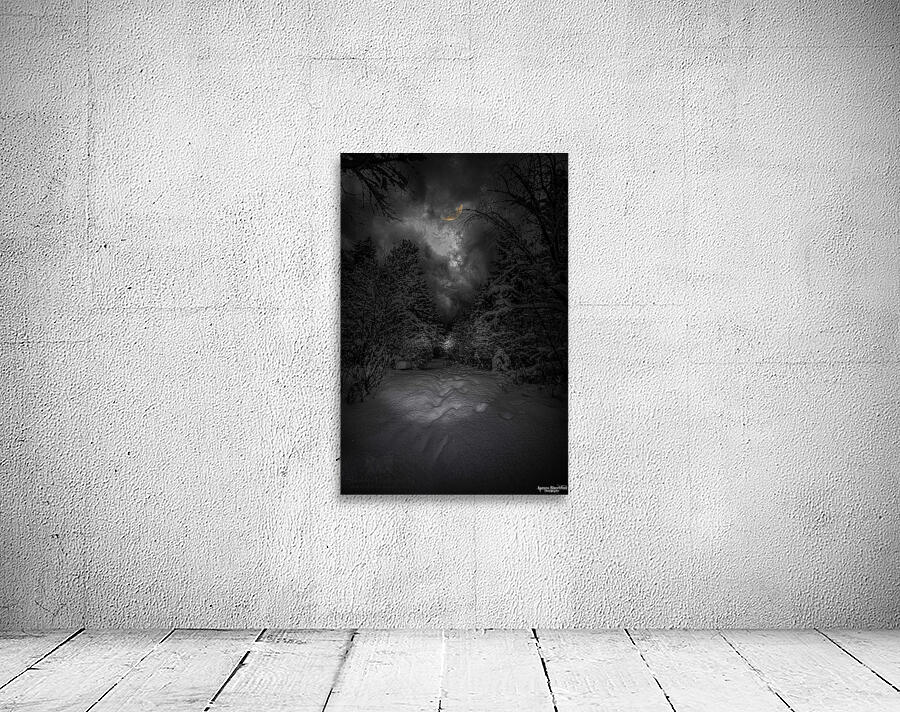 Z62 0237  Wall Preview