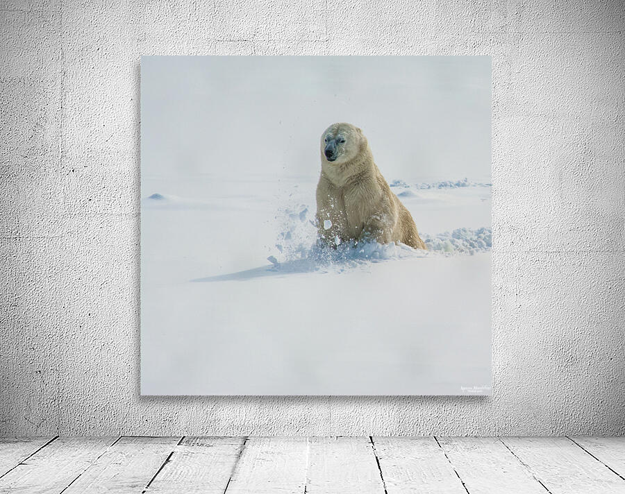 JBS 9346 2 Wall Preview