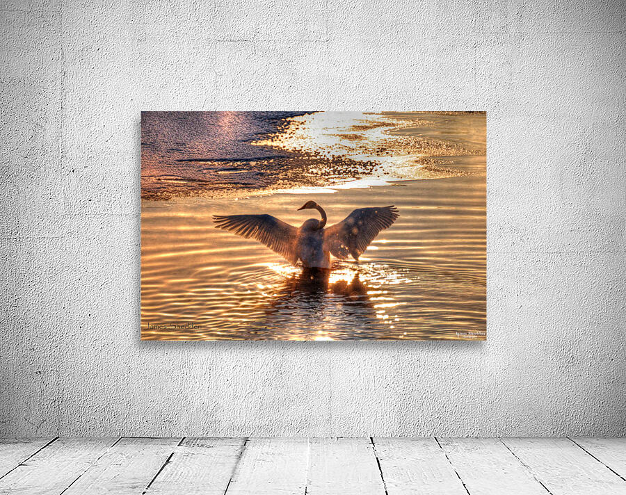 JBS 5877  Wall Preview