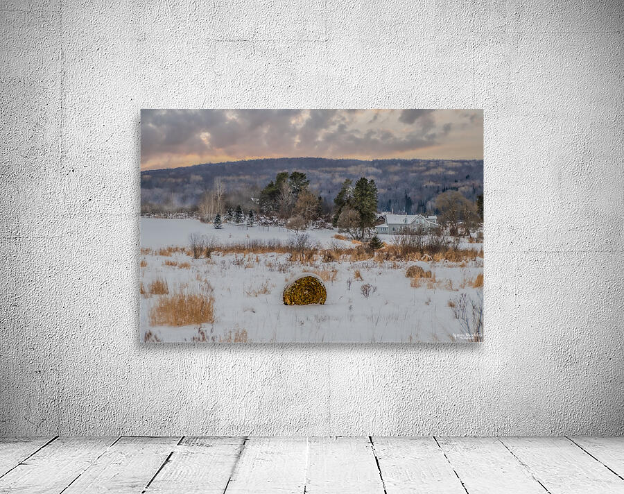 ZJS 9136 Edit 2 Edit Wall Preview