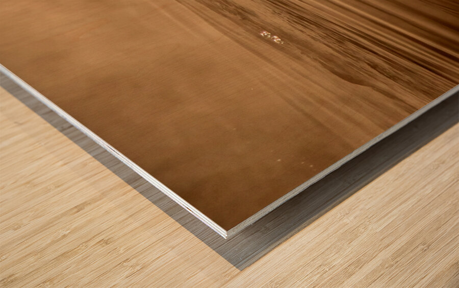 DSC 1719  Impression sur bois