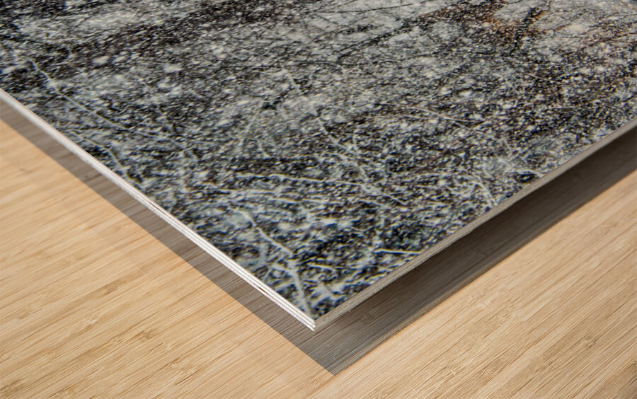 JBS 0383  Wood print