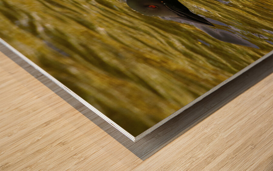 JBS 2224 Impression sur bois