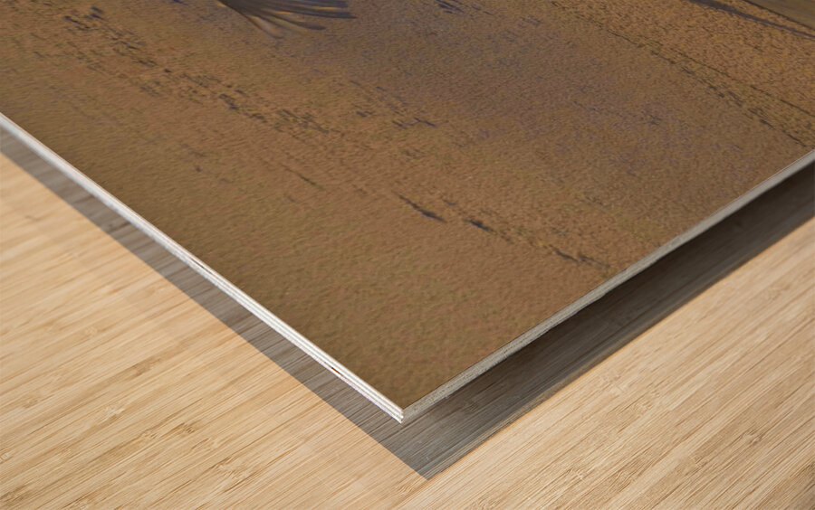 DSC 5806  Impression sur bois