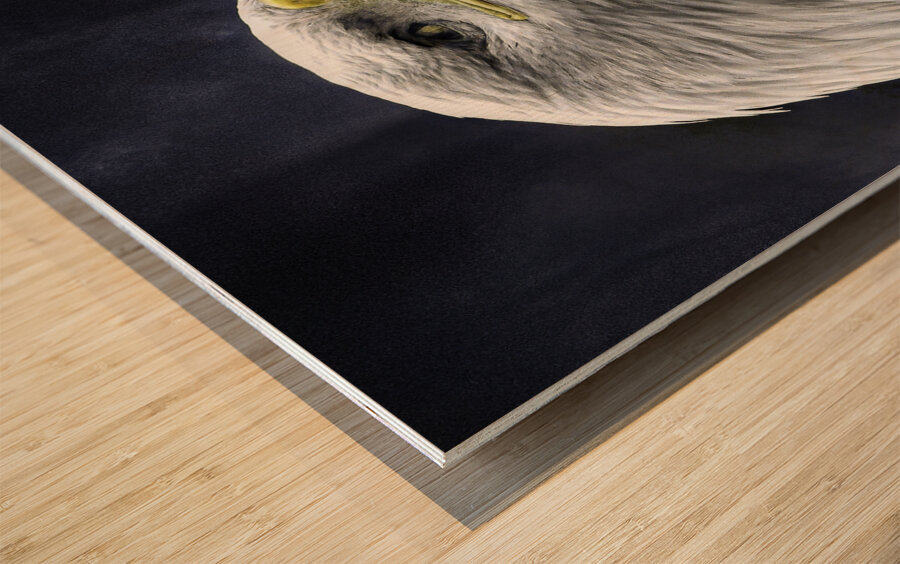 JBS 1282  Wood print