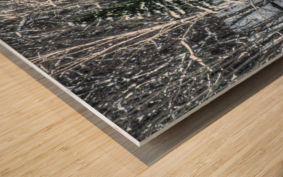 DSC 5638  Wood print