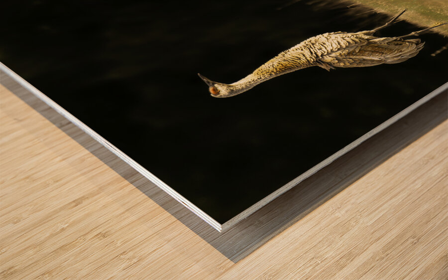 JBS 0909 Impression sur bois