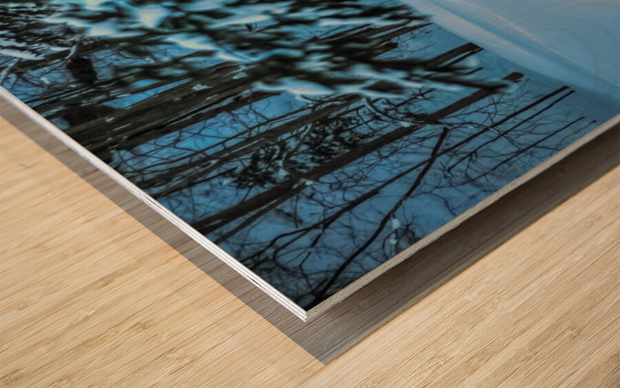 DSC 5646  Wood print