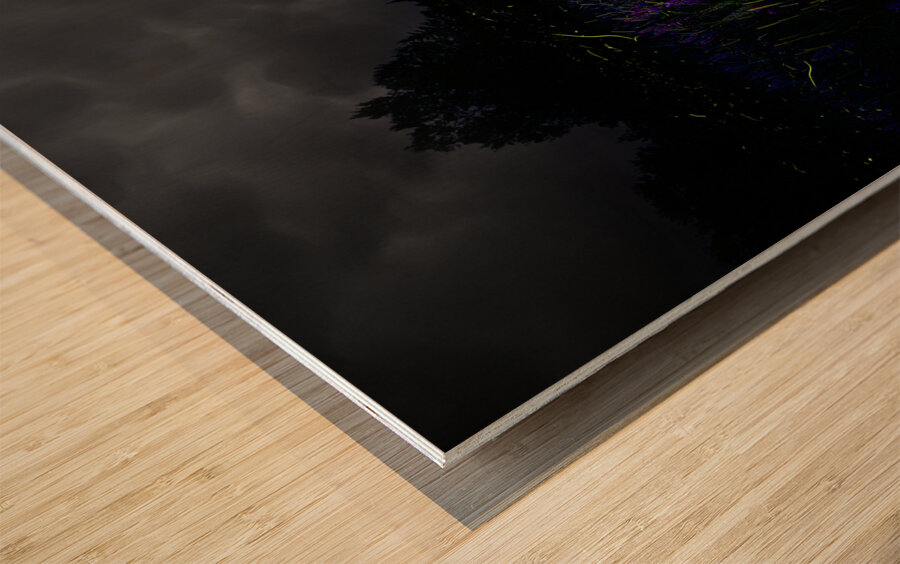 ZJS 7780  Wood print