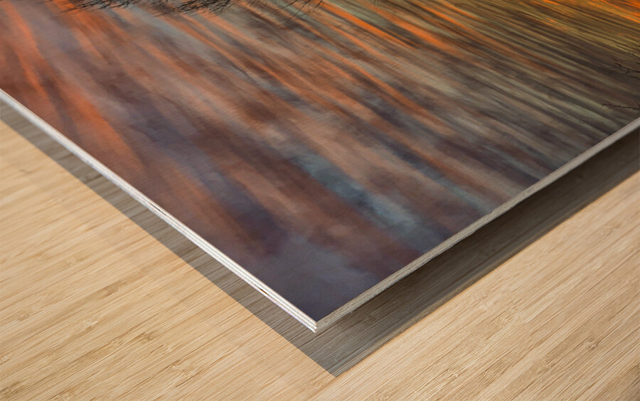 JBS 4142  Wood print