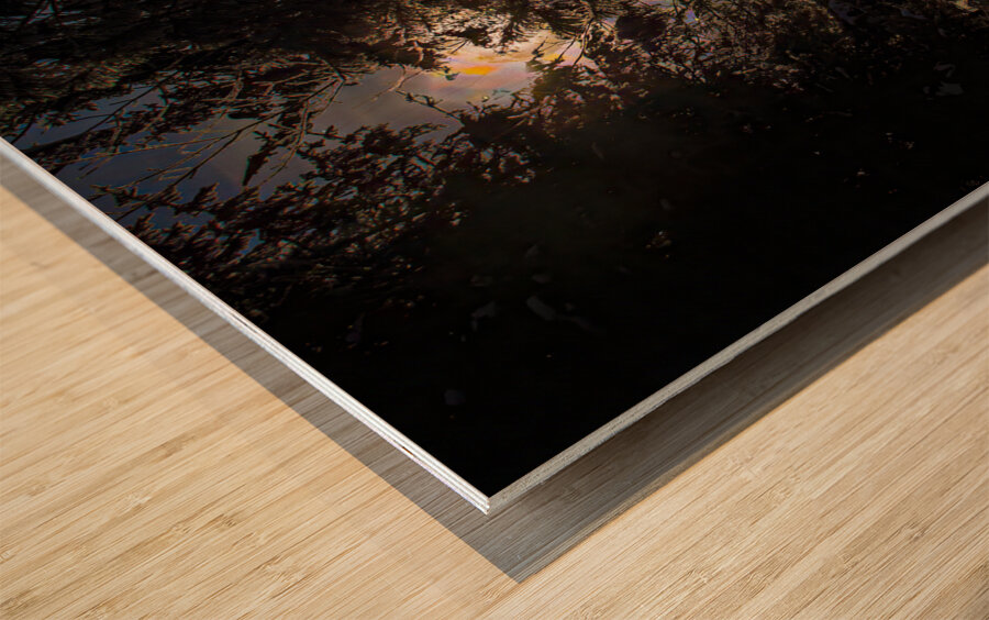 JBS 8757  Impression sur bois