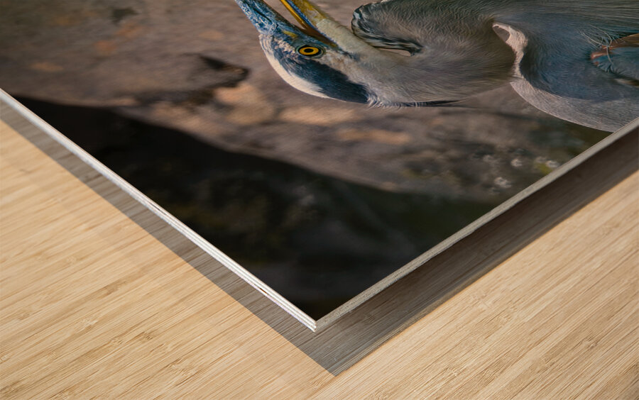 JBS 3491 Impression sur bois