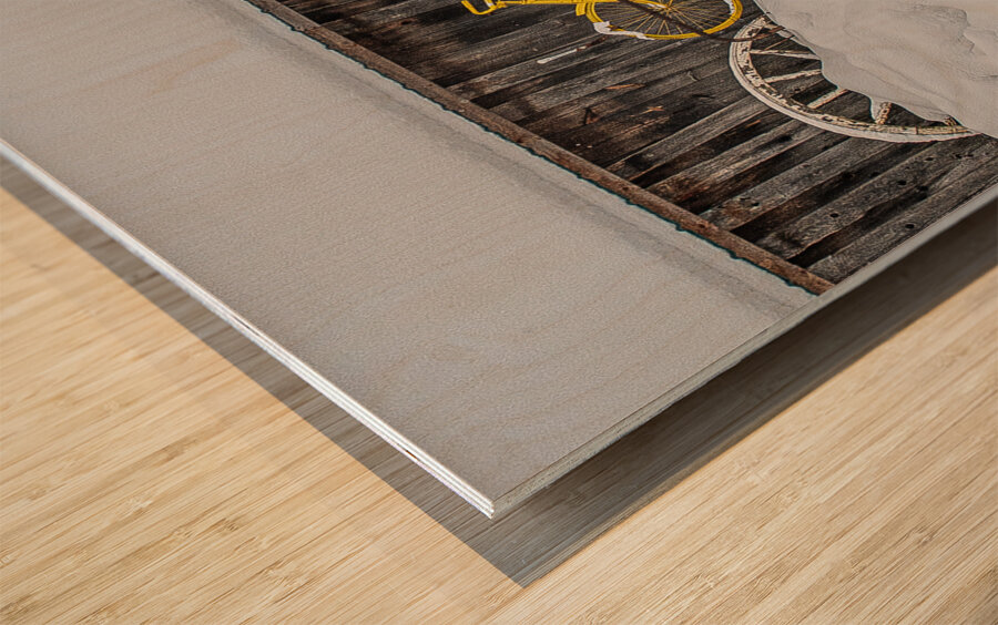 ZJS 9138 Impression sur bois