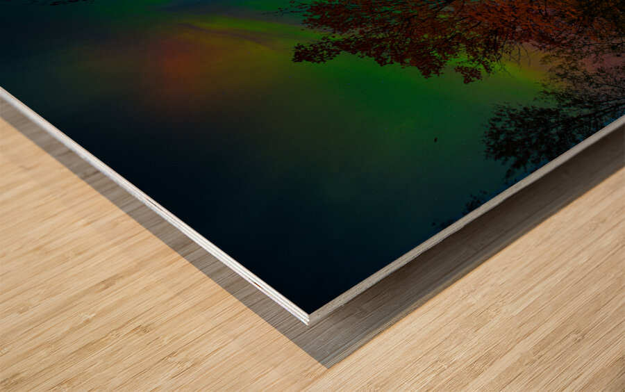 JBS 3816  Wood print