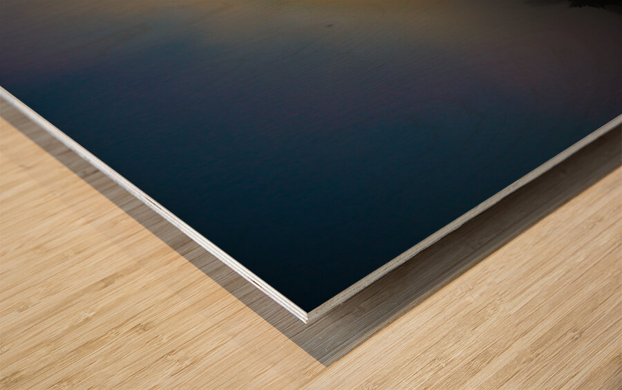 JBS 2526  Wood print