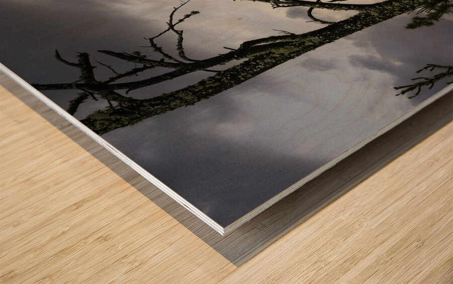 Eagle-Gogama Impression sur bois