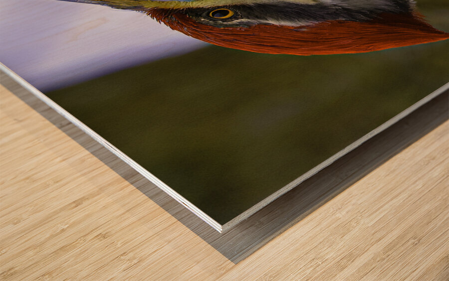 JBS 5301  Wood print