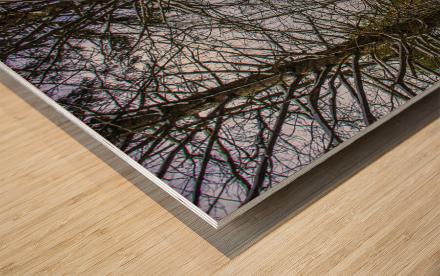 JBS 5217 Impression sur bois