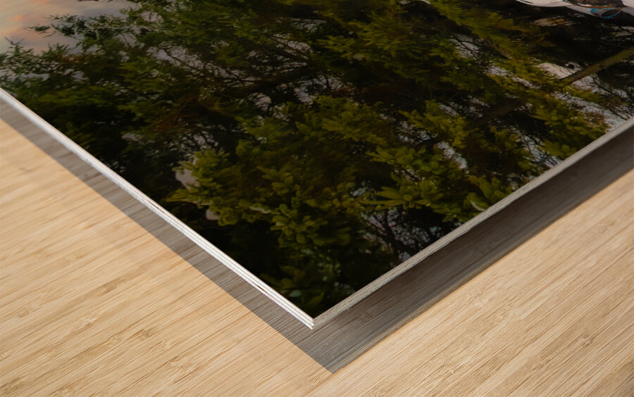 ZJS 9141  Wood print