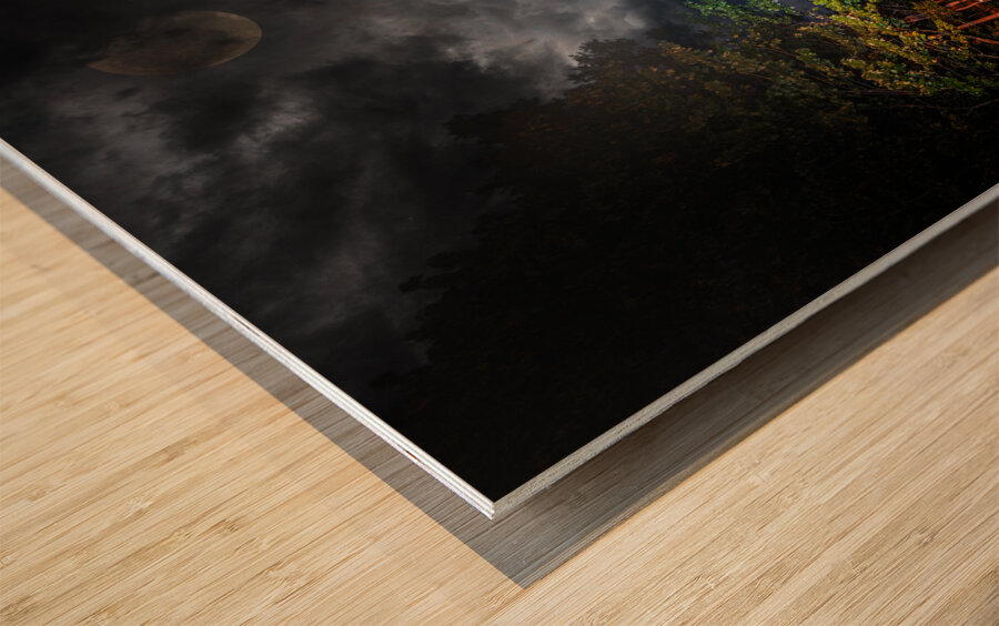 JBS 1582 Pano  Impression sur bois