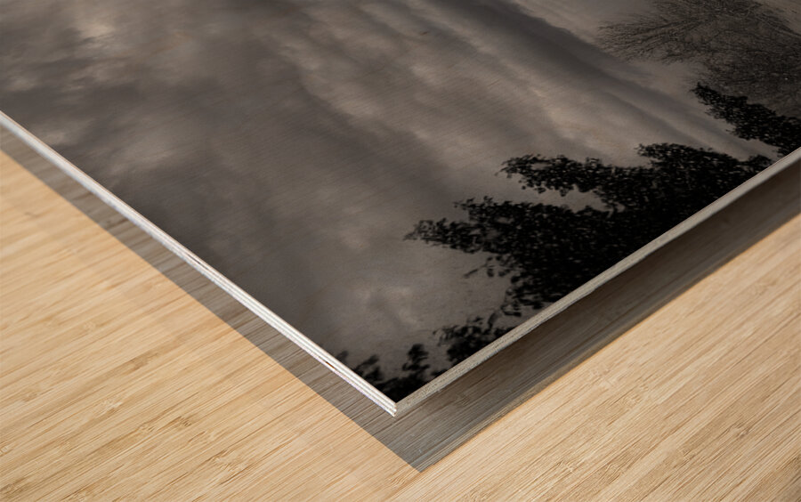 ZJS 6442  Wood print