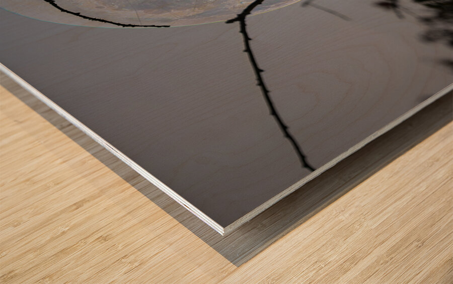 ZJS 8305  Wood print