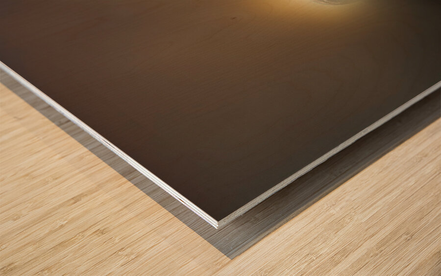 JBS 4756  Wood print